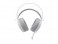 TAI NGHE GAMING RAPOO VH160s
